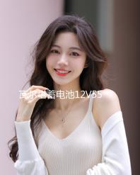 瓦爾塔蓄電池12V55AH適配凱越樂風(fēng)樂馳騁景程指南者汽車電瓶86610