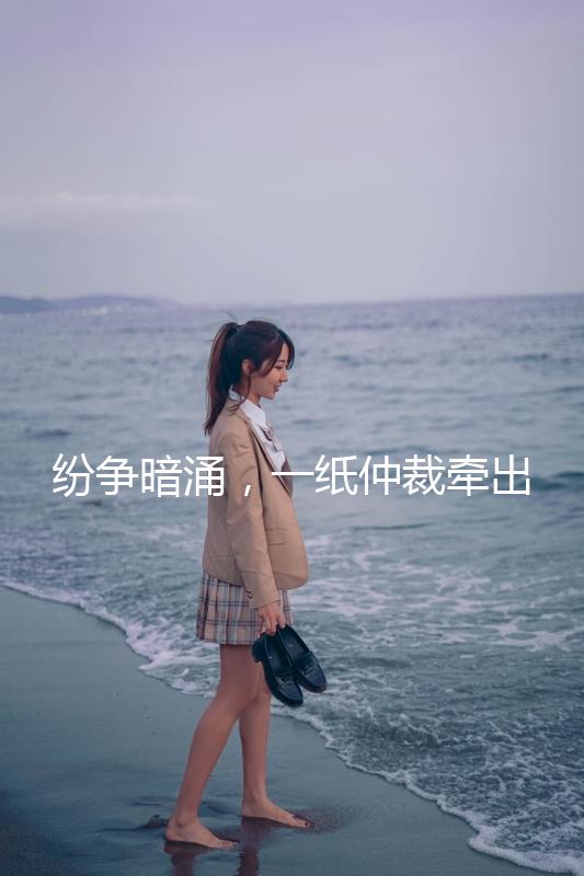 紛爭暗涌，一紙仲裁牽出月之暗面的資本迷局