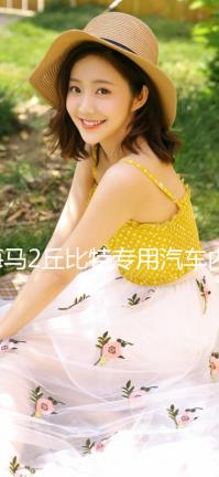 海馬2丘比特專用汽車內(nèi)飾裝飾改裝配件中控儀表臺(tái)防曬遮光避光墊