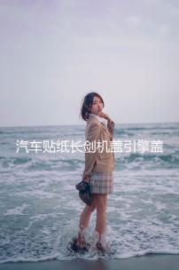 汽車貼紙長劍機蓋引擎蓋頭蓋后擋風(fēng)玻璃個性裝飾車貼遮擋劃痕拉花