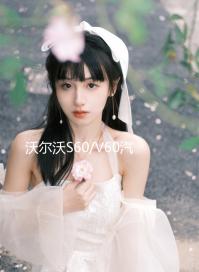 沃爾沃S60/V60汽車后備箱改裝專用隔板裝飾隔物板收納配件儲物箱