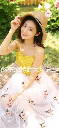 適配東風特商大燈總成擎宇御虎炎龍東風專用底盤砂石王大燈保險杠