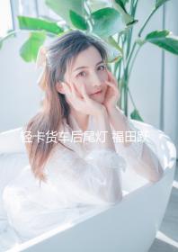 輕卡貨車后尾燈 福田躍進(jìn)江淮凱馬金杯貨車后燈LED電子尾燈后燈