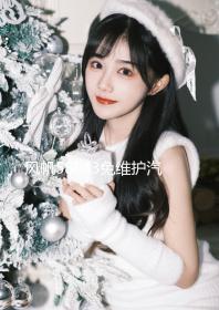 風帆58043免維護汽車電瓶80AH適配奧迪寶馬奔馳路虎神行者發(fā)現(xiàn)者