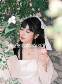 駱駝蓄電池58500適用五菱之光榮光鴻途野馬48AH汽車電瓶 以舊換新