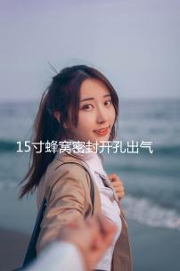 15寸蜂窩密封開孔出氣箱15空箱體低音炮箱家用汽車用空箱木質(zhì)包郵