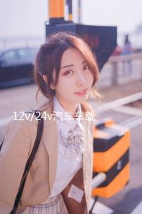 12v/24v汽車車載貨車專用音響低音炮車用插u盤dj好音質(zhì)藍(lán)牙音箱